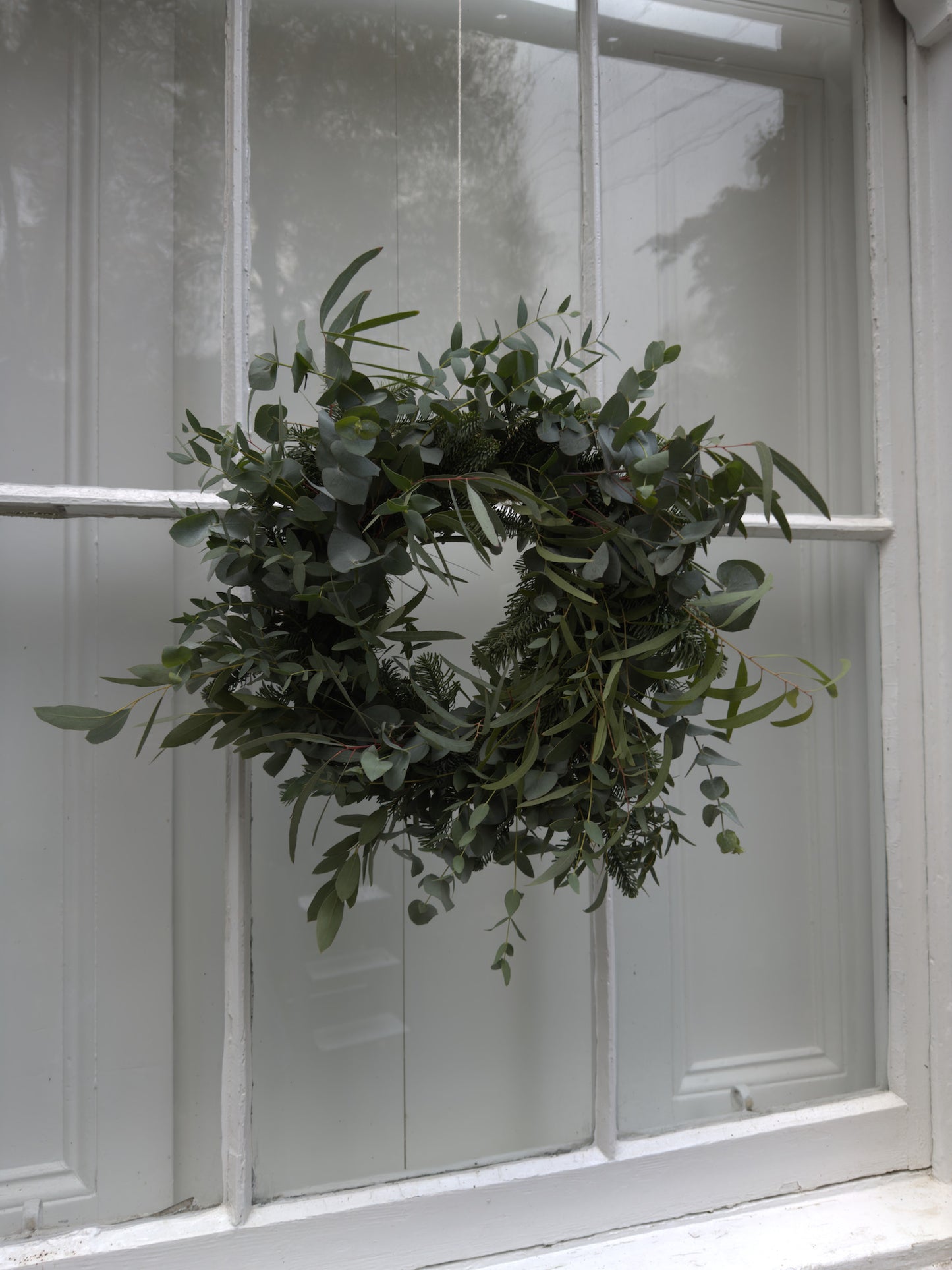 The Eucalyptus Wreath - COLLECTION